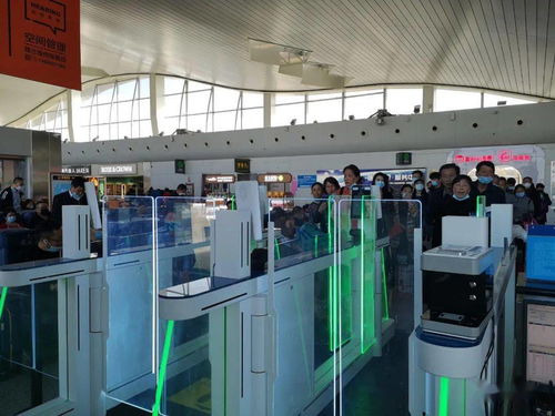 烏魯木齊機場高科技設備提升服務，信息技術咨詢服務助力智慧出行
